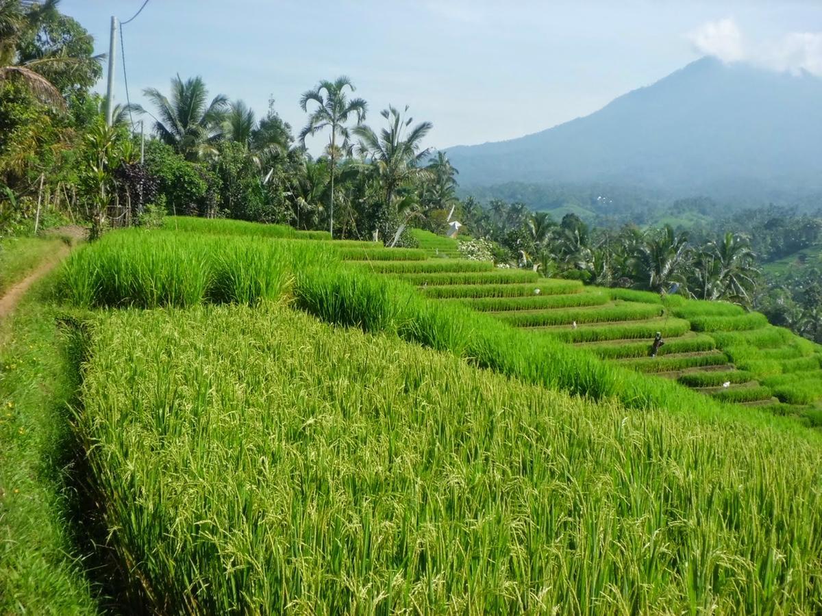 Zen Rooms Basic Kuta Kubu Anyar المظهر الخارجي الصورة